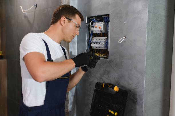 Best Electric Panel Repair  in Bishop, TX